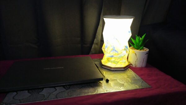 20250927_104748 lampara led